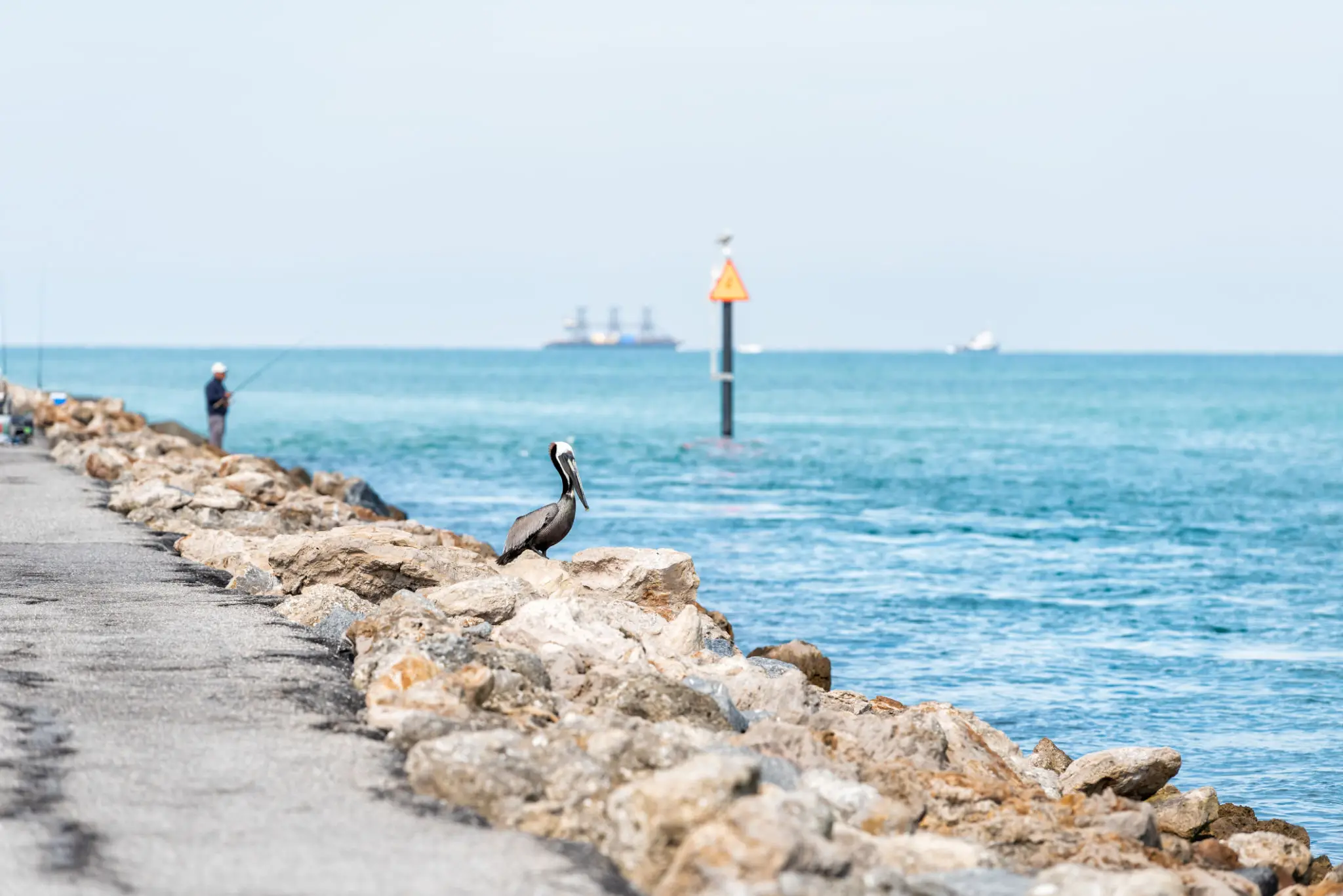 A bird perched on rocks by the ocean on a clear day.