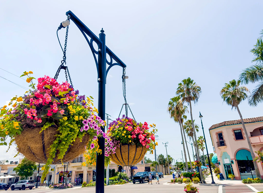Street lamp adorned with vibrant hanging flower baskets in a sunny urban setting.